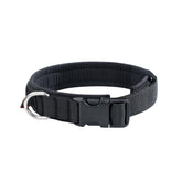 New Dog Collar, Dog Collar, Small Dog Collar